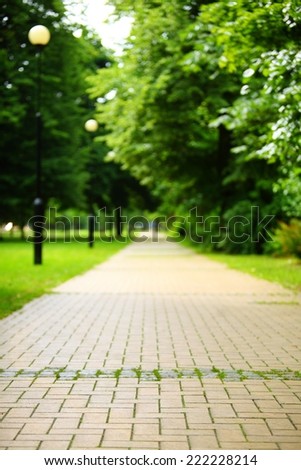 The stone path in the park. The road from the bricks in the garden, sidewalk.