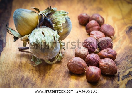 Healthy food full of fatty acids, organic nutrition. Hazelnuts  kernel and cluster filbert nuts in hard shell on rustic old wooden table.