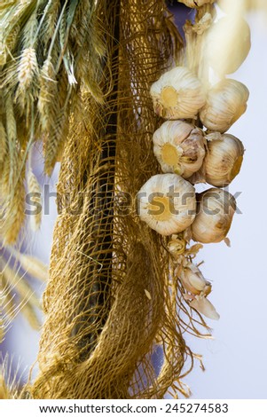 Healthy food alternative medicine. String of garlic hanging outdoor.