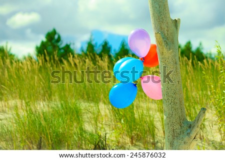 Concept of love in summer, freedom and wedding honeymoon. Colorful balloon chain on beach sand dune with grass background, outdoor