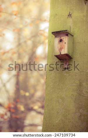 Handmade bird house outdoor in autumn forest on the tree. Natural setting no birds.