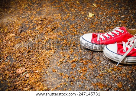 Walk in park in autumn. Red sneakers with white laces. Outdoor activities.