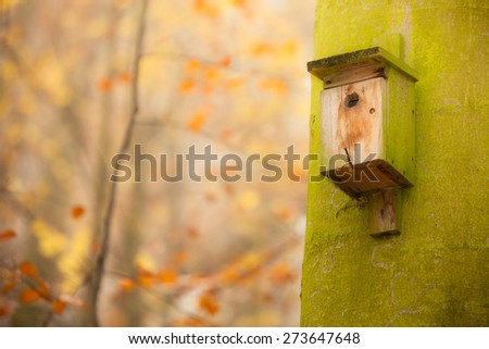 Handmade bird house outdoor in autumn forest on the tree. Natural setting no birds.