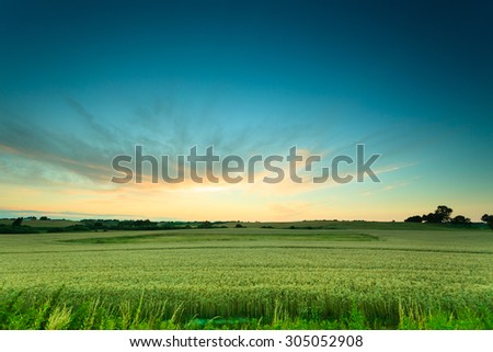 Evening landscape. Beautiful sunset or sunrise over green summer field meadow with dramatic red sky,