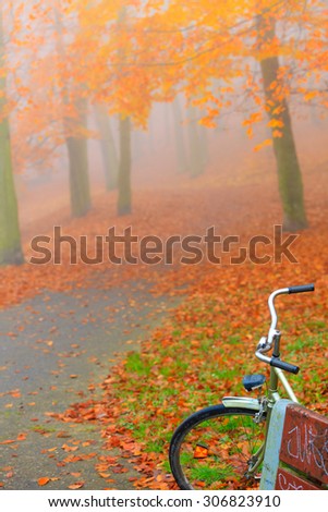 Healthy active lifestyle concept. Bike parked in beautiful quiet autumn park, orange red leaves covering the ground.