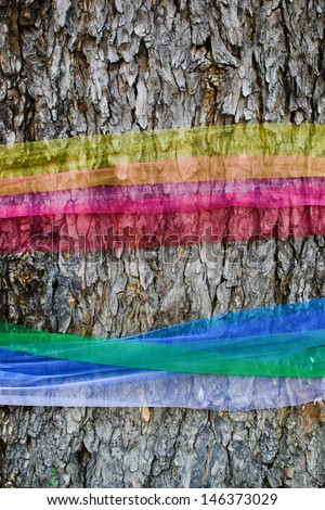 Cloth wrapped around the tree bark