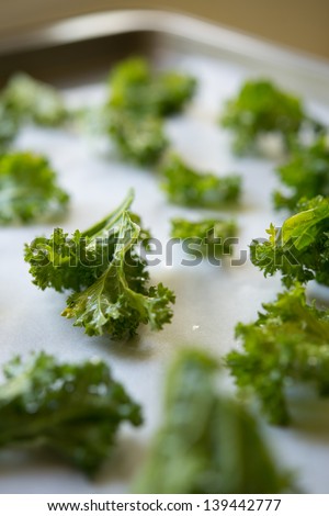 Green Kale Pieces on Baking Dish - ready for making kale chips. Shallow depth of field with focus on middle row of kale.