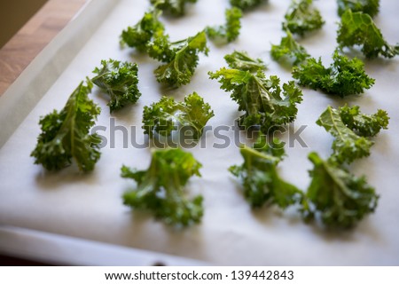 Kale chips ready for baking into kale chips on a baking sheet. Shallow depth of field.