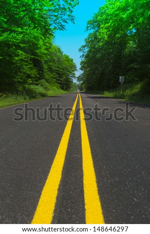 clear double yellow line road through forest in summer