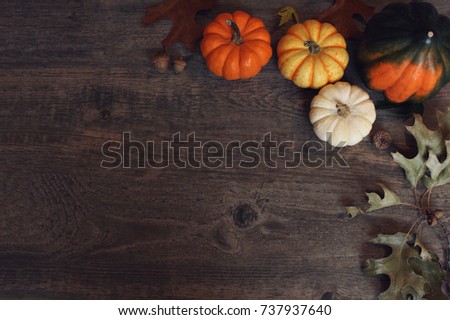 Fall Thanksgiving and Halloween pumpkins, leaves, acorn squash over dark wood table background shot from directly above