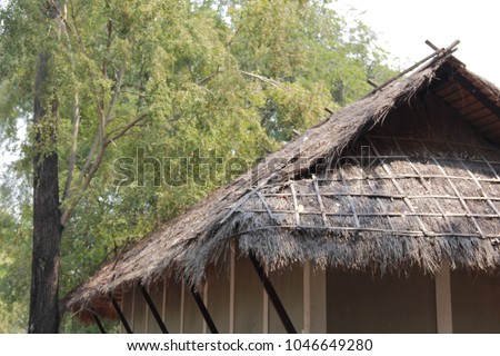 The roof of the cottage with straw and wood from the nature is a rustic ancient culture. Popularly done in an outdoor village. There is a tree and sky background.