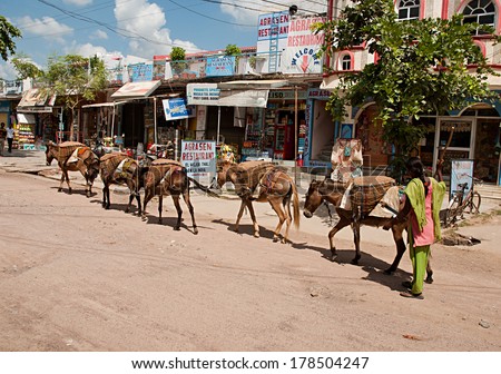 KHAJURAHO, INDIA - SEP 29: donkeys used to transport heavy goods on September 29,2013 in Khajuraho, India. Donkeys are still used even in big towns to transport heavy goods.