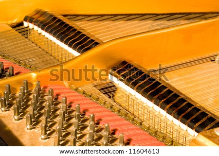 Picture of old piano inside of the body.