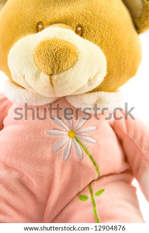 Pink teddy bear close up, isolated on white, with flower