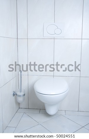 White, modern and clean toilet with brush.