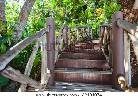 Wood path walkway in deep Mangrove Forest