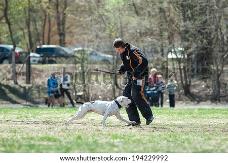 Vologda, Russia - 10 May 2014: Training of guard dog, the moment of the attack, on May 10, 2014 in Vologda, Russia