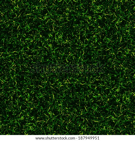 top view texture grass design vector background