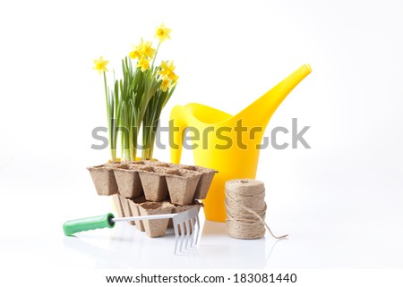 variety of garden tools isolated on white