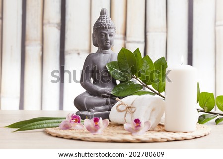 wellness and spa concept with buddha figure
