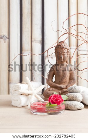 wellness and spa concept with buddha figure
