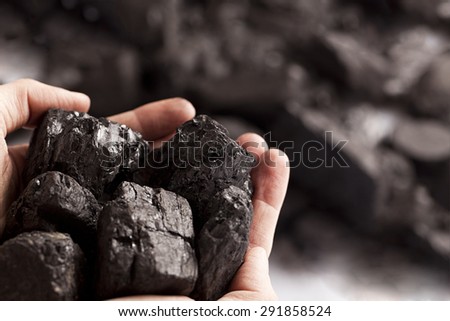Two white hands holding lumps of black coal in focus