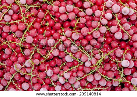 frozen red currant, full frame image of a heap of red currant