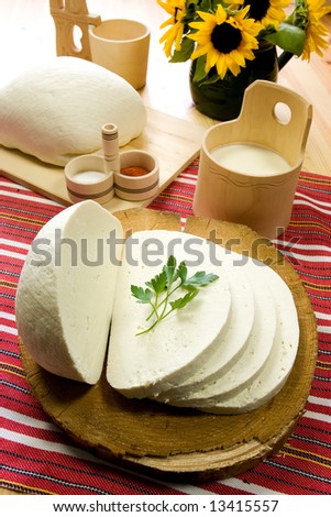 Traditional Slovak Sheep\'s Milk Cheese, slice. The cheese is traditionally produced in mountain huts from sheep\'s milk.