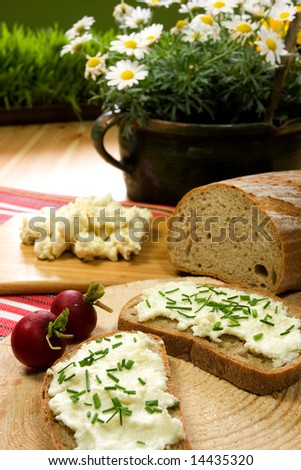 Healthy breakfast / cotage cheese, red onion and slice of bread