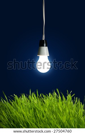 Light bulb with spring grass - Environment Concept