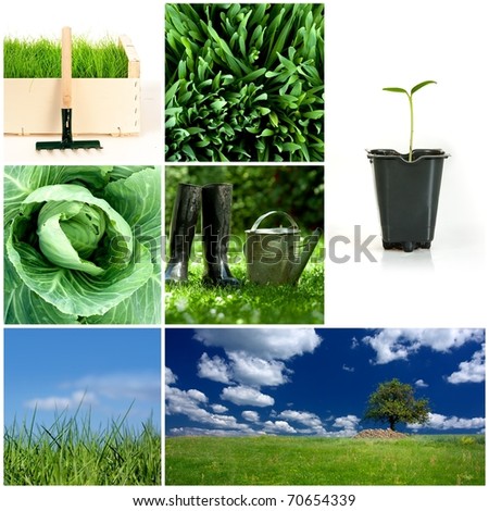Green concept - Spring gardening