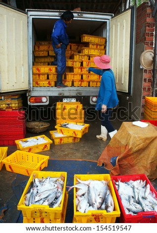 LONG HAI, VIET NAM- JULY 15. Fish is placed in yellow plastic trays, transported to wholesale at fishing market, man arrange fish plastic tray, women stand surround and look at those. July 15, 2013