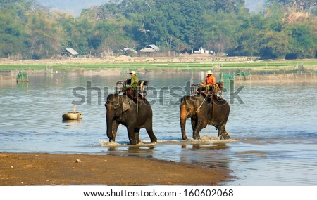 Buon Me Thuot, Viet Nam, February 18: Mahout Riding Elephant Across The Lake In Buon Me Thuot, Viet Nam On February 18, 2013