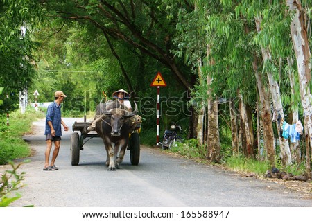 AN GIANG, VIET NAM- NOV13: A couple of farmer riding buffalo cart on country road, the road with row of trees make  pure, clean, beautiful landscape of Vietnamese countryside ,Viet Nam, Nov 13, 2013