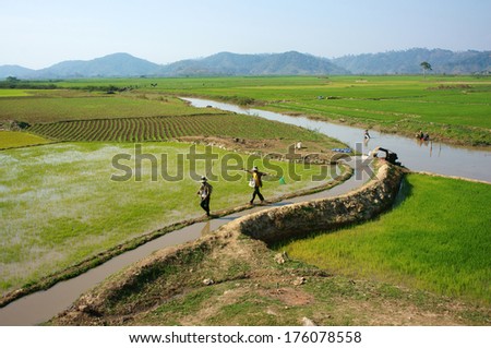 DAKLAK, VIETNAM- FEB 7: Farmer pump water to rice field for crop, he walk on dike, impression of vast paddy plantation with irrigation canal system, Viet Nam, Feb 7, 2014