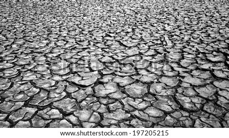 Drought land in piece, climate change make extreme weather, dry field by hot season and waterless, this cause by warming global, very urgent situation