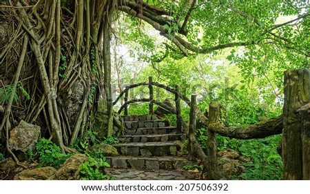 Amazing scene at Mekong Delta rocky mountain, old stone staircase with rock fence, tree with large tree trunk, abstract roof and big stump, the way up to paradise, green landscape for Vietnam travel