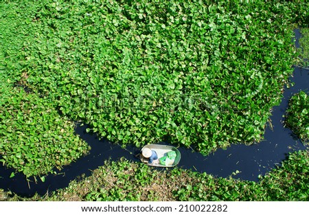 HO CHI MINH, VIETNAM- AUG 9 : People sitting on small boat, catch fish in polluted water, this harmful for health, black river cover by water hyacinth, Viet Nam, Aug 9, 2014