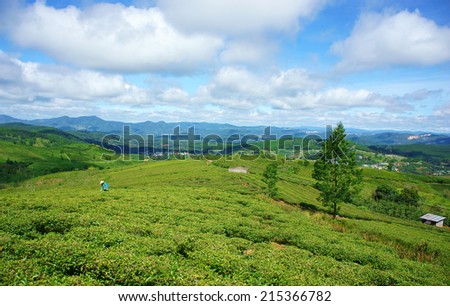 Impressive landscape at Dalat, Vietnam in sunny day, amazing cloudy sky, chain of mountain far away, people on farm, beautiful tea plantation, wonderful country view for Da Lat travel