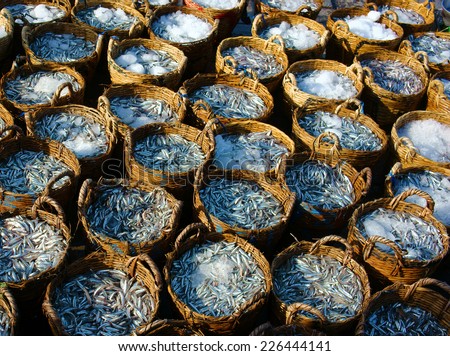 Group of anchovy basket at fishing outdoor farmers market, anchovy is material to make fish sauce, very delicious Vietnamese food, many produce of fishery cover by ice to keep fresh
