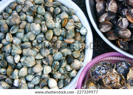 Fresh seafood show at Vietnam open air market, sellfish (nail) is nutrition food, rich omega 3, healthy eating, commonly at coastal Asian, raw for many dish