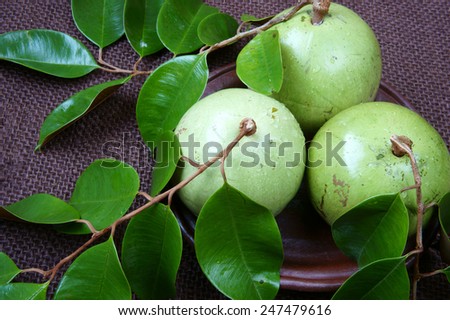 Vietnam fruit, milk fruit or star apple or Vu Sua, is special farm product that only Viet nam exported, close up of this nutrition, organic fruit with green leaf on brown background