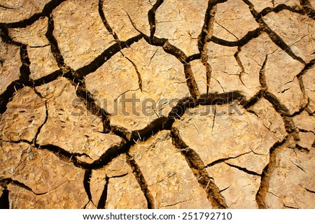 Hay on drought land, amazing arid and cracked ground, climate change made agriculture plantation have to reduct, in summer it very hot, warming is global problem, cause by greenhouse effect