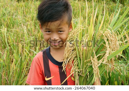 SOC TRANG, VIET NAM- MAR 23: Unidentified Asia children playing on rice field, Vietnamese kid hold sheaf of paddy on hand, stand with happy, smiling face in good crop, Vietnam, Mar 23, 2015