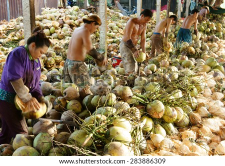 BEN TRE, VIET NAM- MAY 31: Group of Asian manual worker work hard at coconut granary, Vietnamese labor split fiber from coconut fruit, Ben Tre have large area of Mekong Delta, Vietnam, May 31, 2015