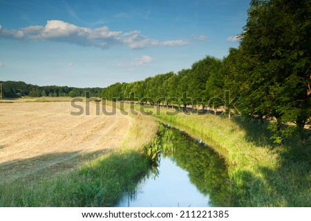 Creek along a farming field with a row of trees reflected in water