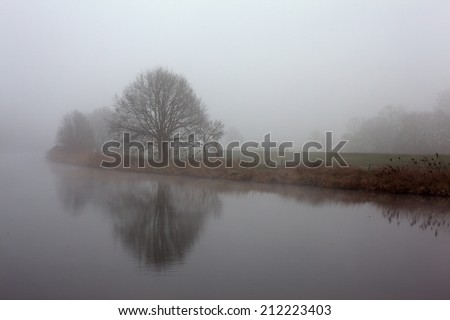 River landscape with solitary tree in the mist