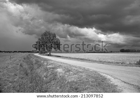 Dark sky with solitary tree in black and white
