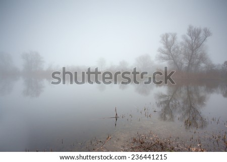 Body of water in the mist