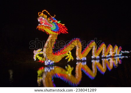 Chinese light dragon in water